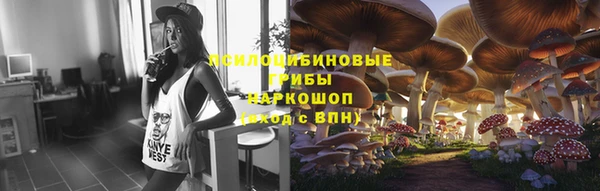 Альфа ПВП Аркадак