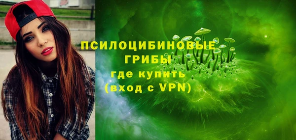 дмт Армянск