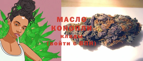 Альфа ПВП Аркадак