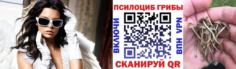 Галлюциногенные грибы мицелий  наркота  MEGA рабочий сайт  Михайловка 